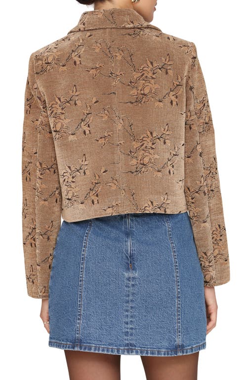 Avec Les Filles Crop Corduroy Jacket In Brown