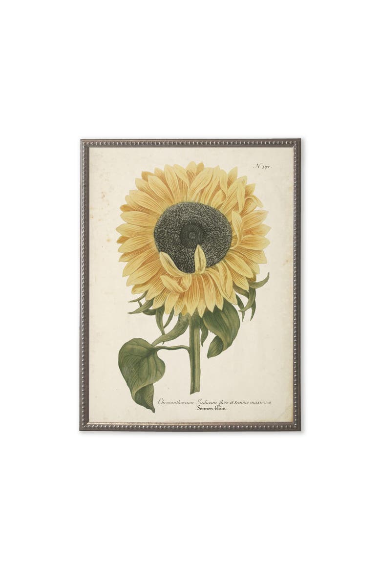 Sunflower in Silver-Beaded Frame, Main, color, Multi