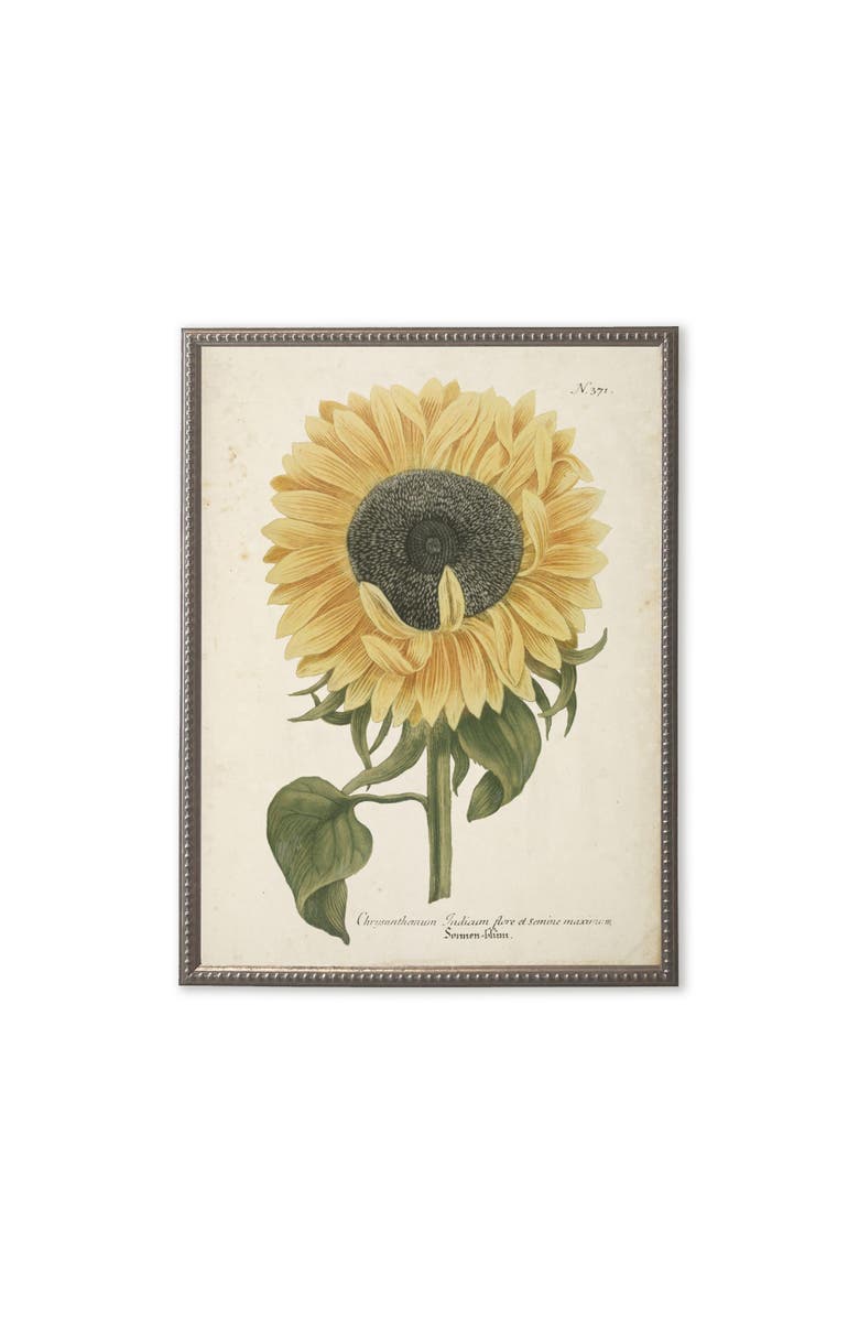 Antique Curiosities Sunflower in Silver-Beaded Frame, Main, color, Multi