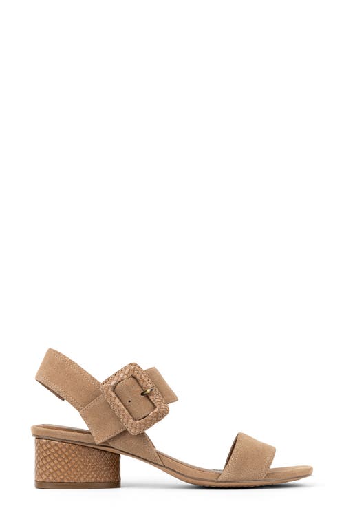 DONALD PLINER DONALD PLINER OVERSIZE BUCKLE SLINGBACK SANDAL 