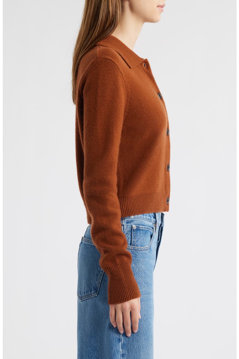 Cashmere Shrunken Cardigan, Alternate, color, CHESTNUT
