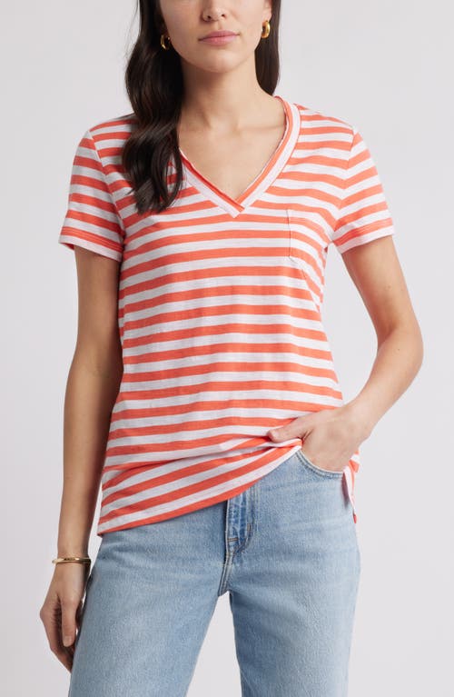 Caslonr Caslon(r) Cotton & Modal V-neck T-shirt