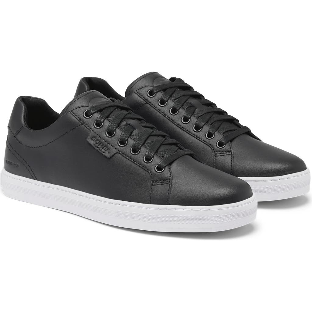 Sorel Cyprus™ Wp Sneaker In Multi