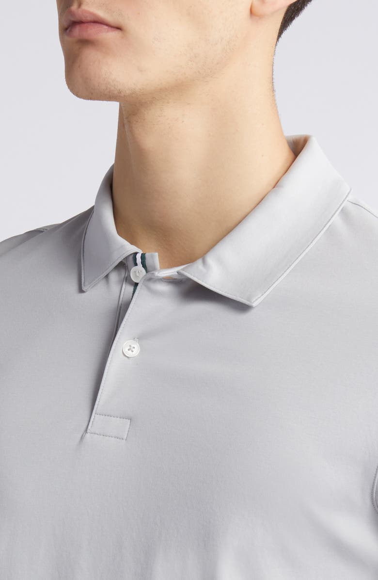 Ted Baker London Zeiter Cotton Polo, Alternate, color, 