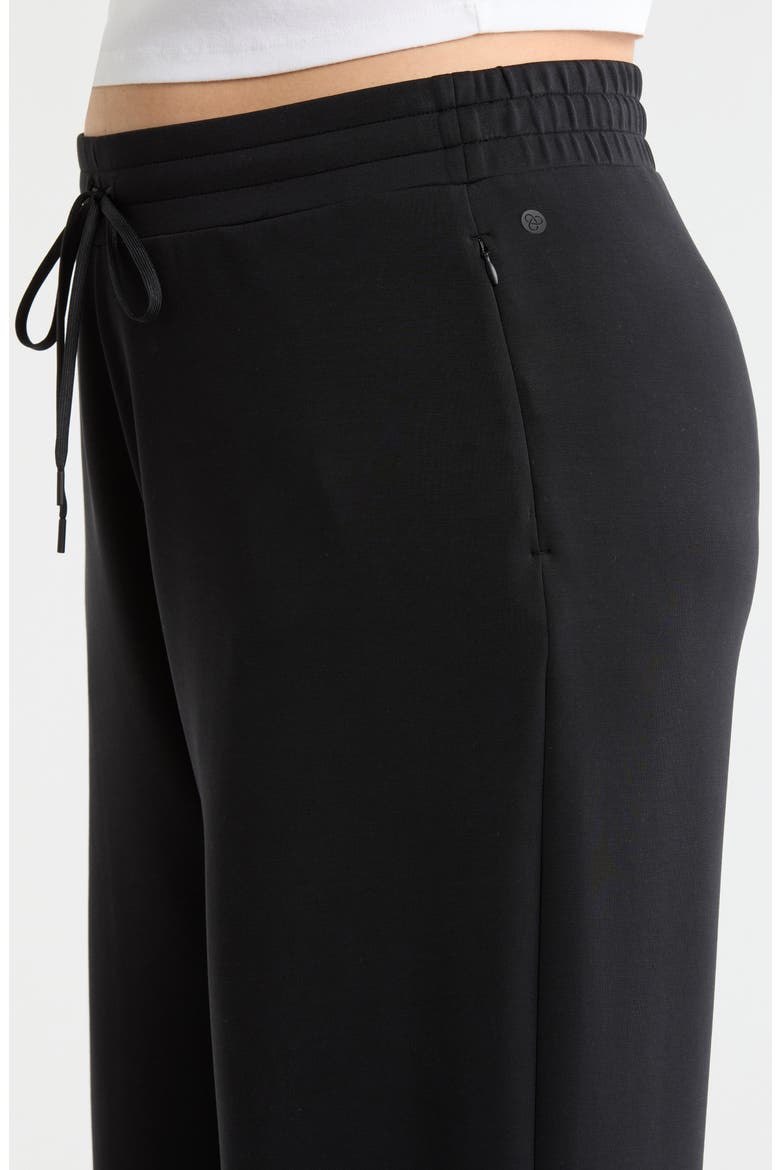 Soft Luxe Wide Leg Pants, Alternate, color, BLACK