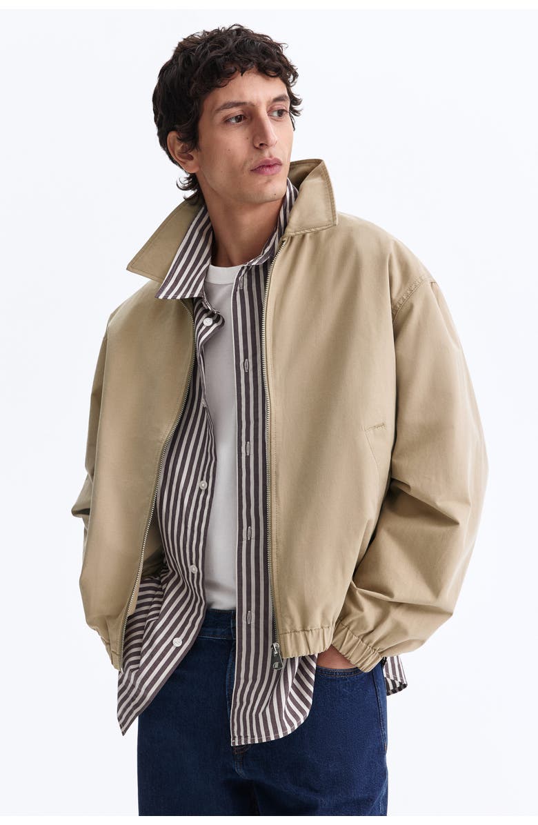 H&M Collared Cotton Jacket, Alternate, color, Beige