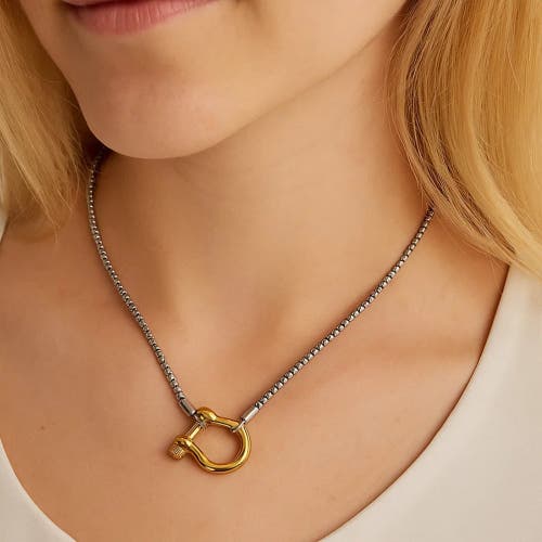 Hollywood Sensation Lucky Lock Carabiner Necklace Two Tone Mixed Metal Horseshoe Pendant Chain In Metallic