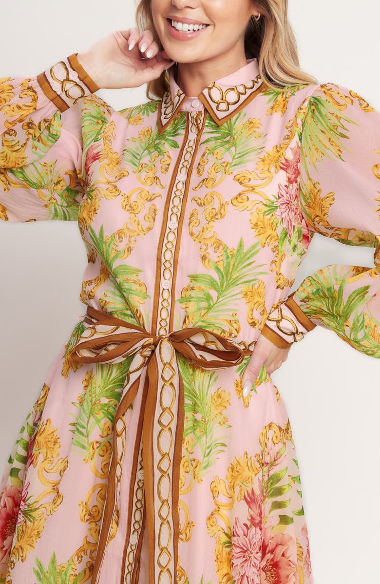 FLYING TOMATO Print Long Sleeve Maxi Shirtdress, Alternate, color, Pink