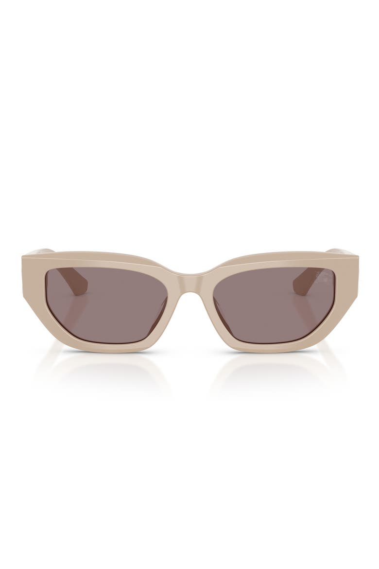 54mm Cat Eye Sunglasses, Main, color, BEIGE / DARK PURPLE