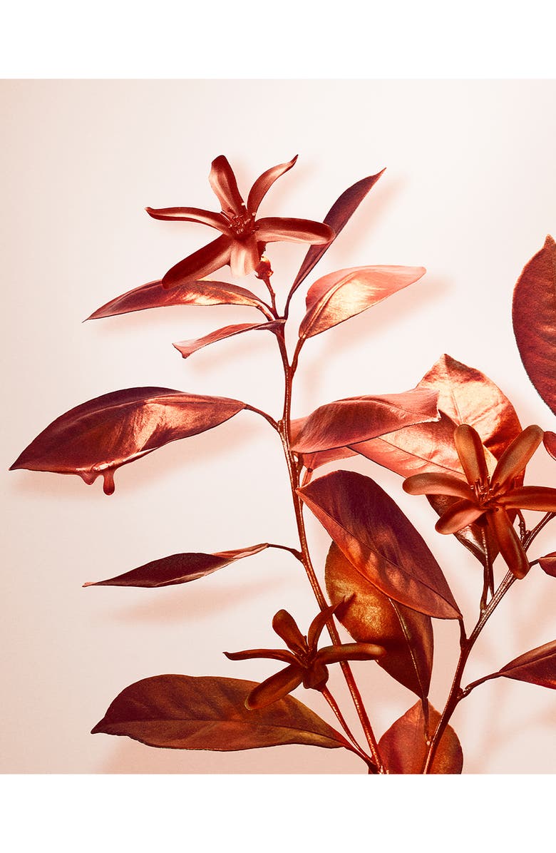 Tiffany & Co. Rose Gold Intense Eau de Parfum, Alternate, color,