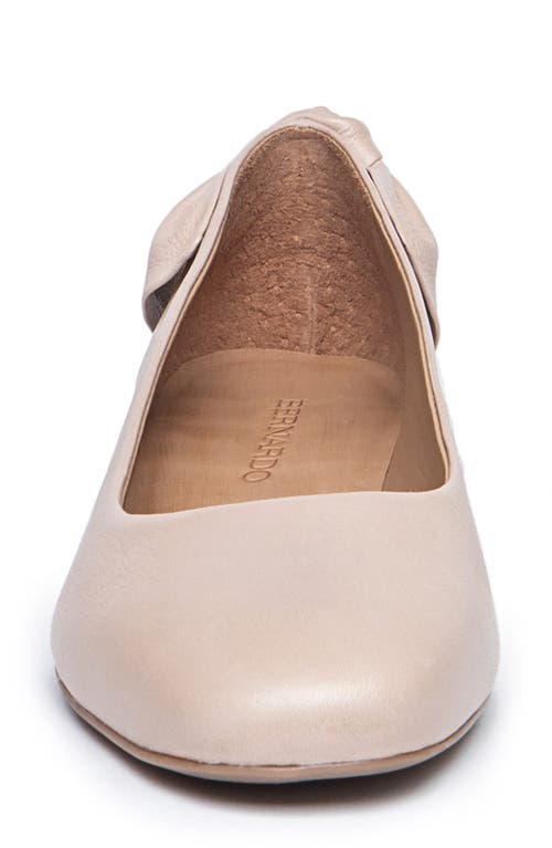 BERNARDO FOOTWEAR BERNARDO FOOTWEAR BERNARDO ELOISE BOW FLAT