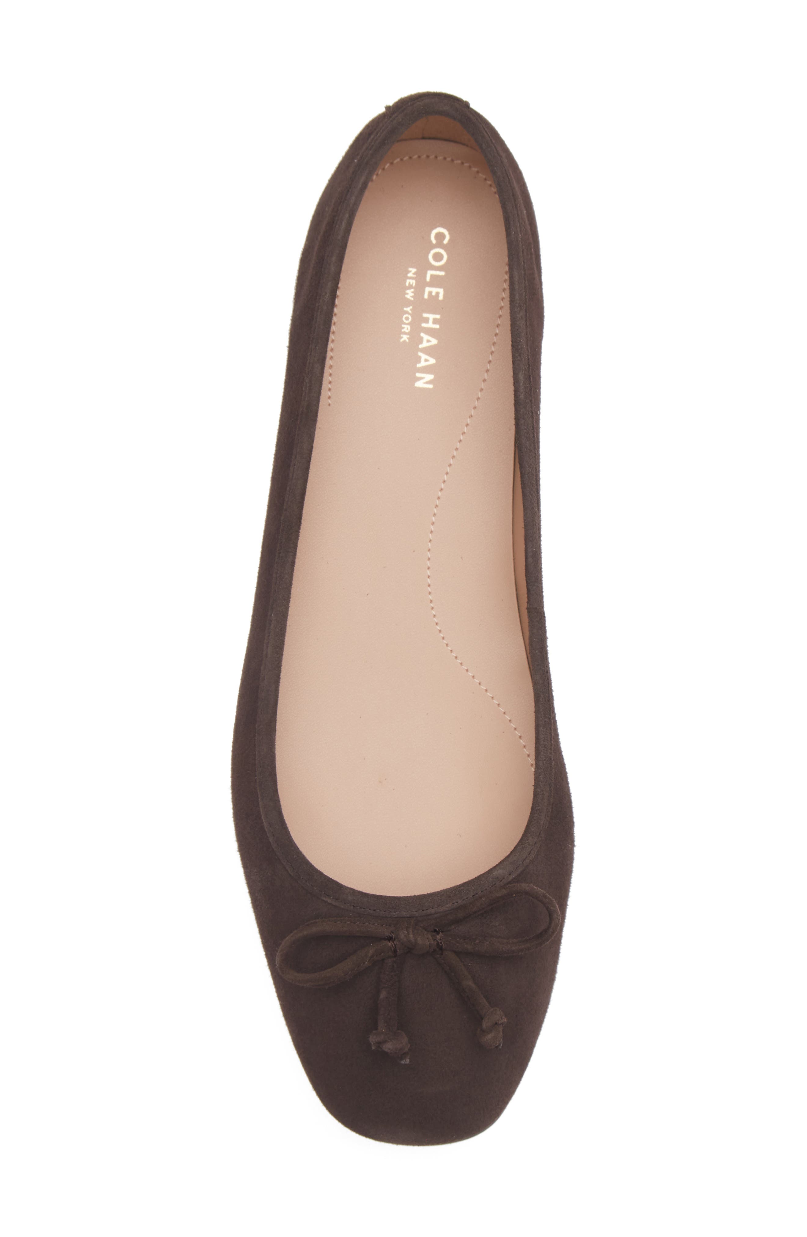 Yara Ballet Flat, Alternate, color, DARK CHOCOLATE SUEDE