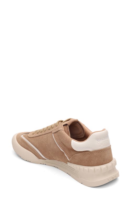 Ash Podium Sneaker In Noisette/gardenia
