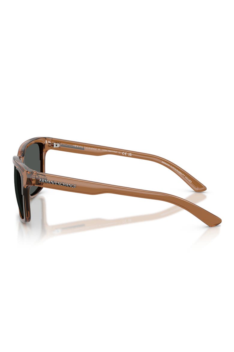 56mm Square Sunglasses, Alternate, color, TRANSPARENT BROWN / GREY