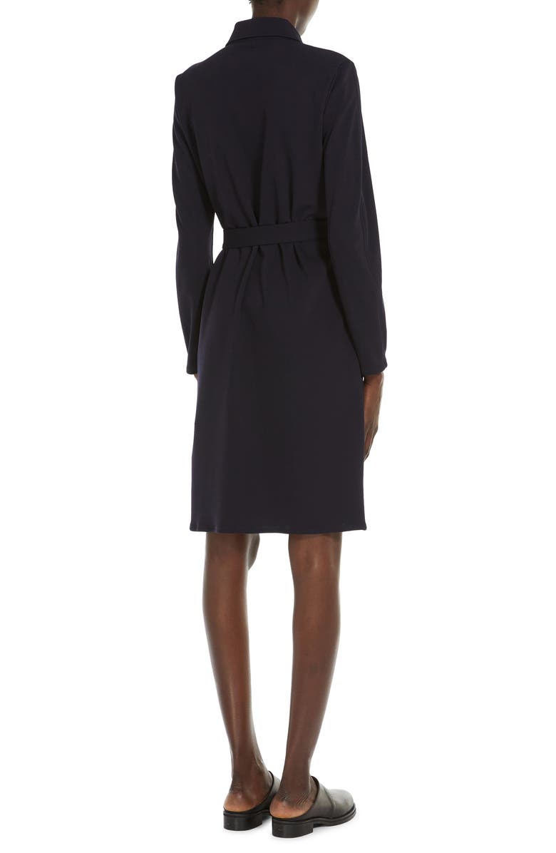 Max Mara Leisure Dorema Long Sleeve Jersey Dress, Alternate, color, 