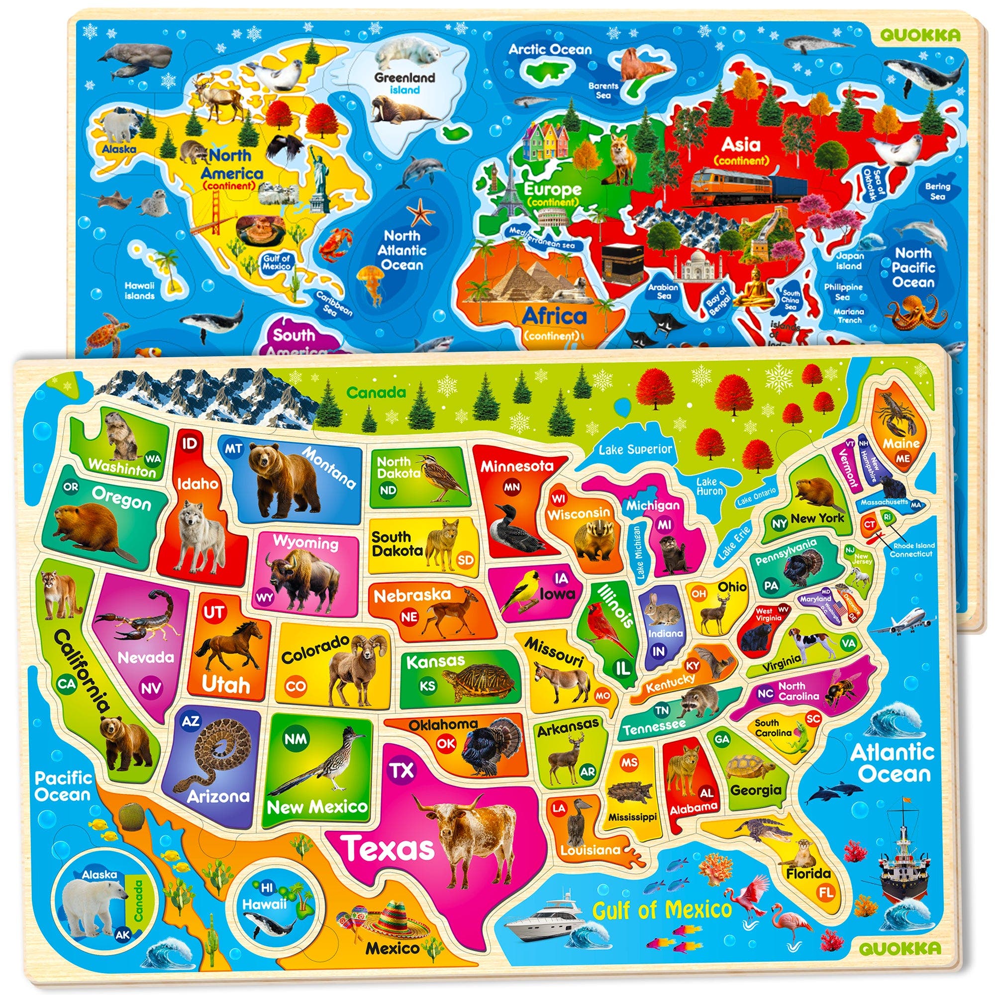USA & World Map