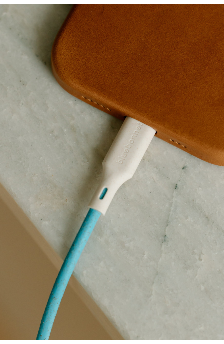 Bluebonnet The Companion USB-C to Lightning 4FT Charging Cable, Alternate, color, Blue