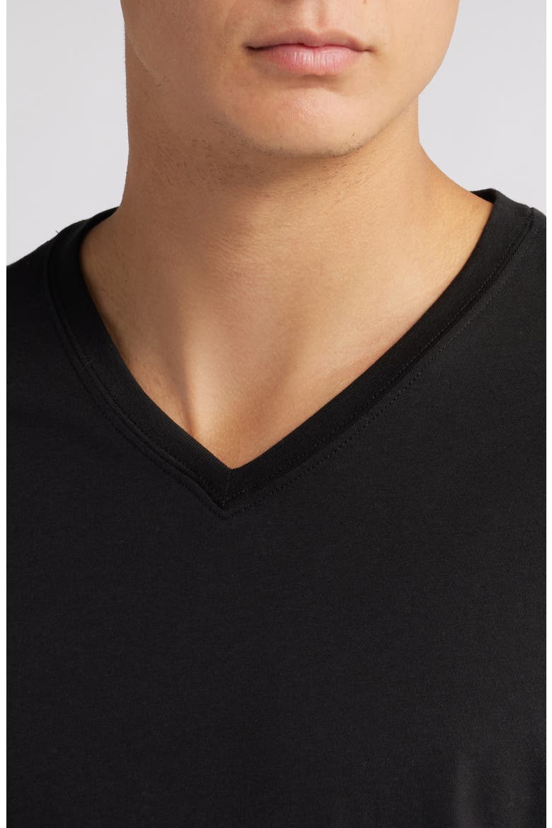 V-Neck Cotton T-Shirt, Alternate, color, BLACK