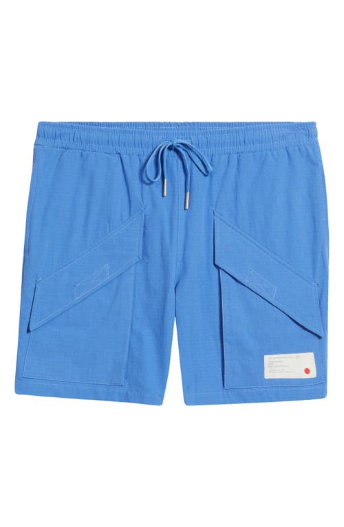 Vic Garcia World Unstoppable Cargo Shorts