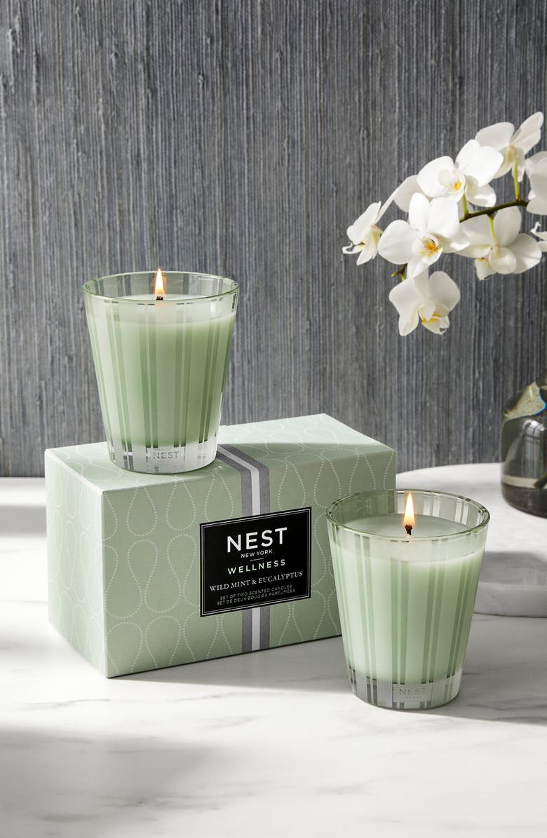 NEST New York Wild Mint & Eucalyptus Candle Duo $92 Value, Alternate, color,