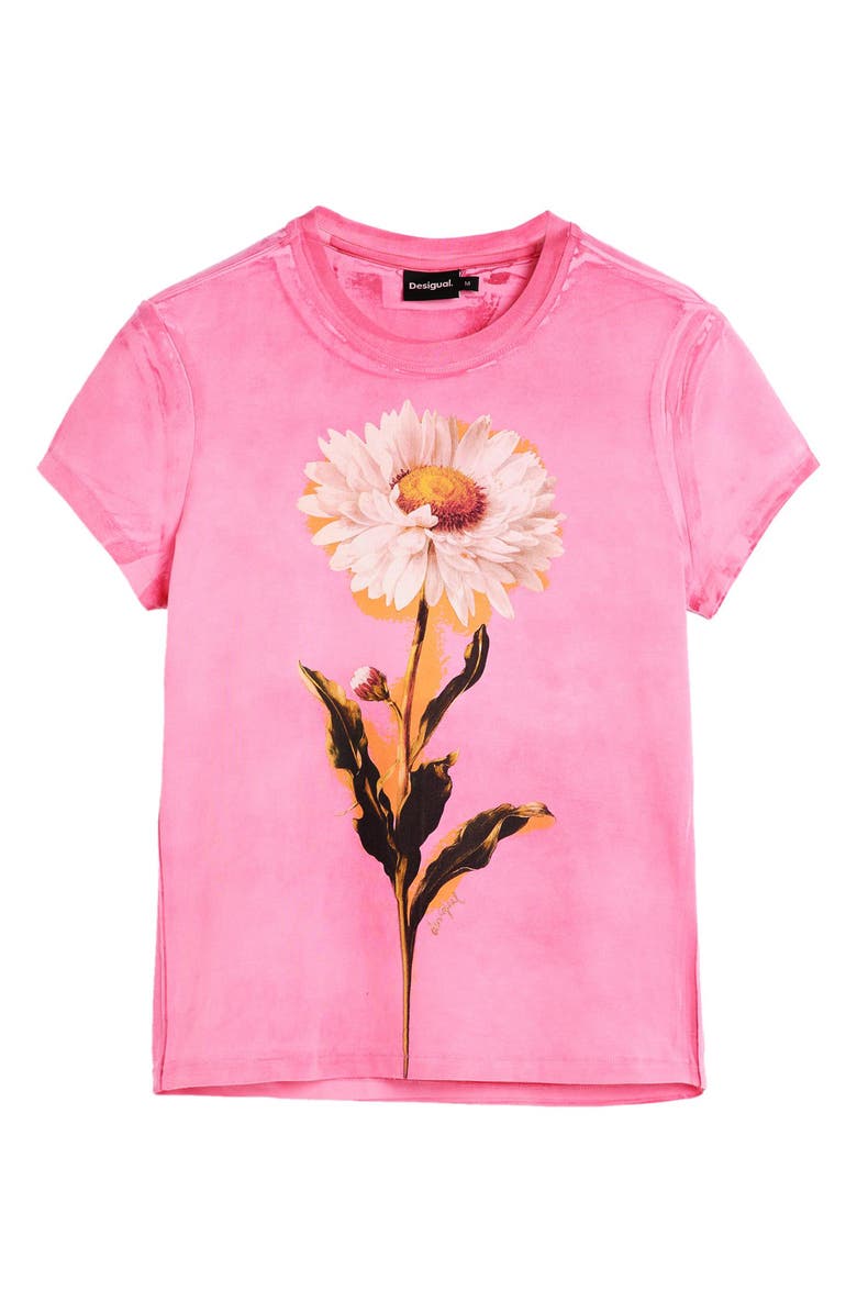 Desigual Floral Cotton Graphic T-Shirt, Alternate, color, Pink