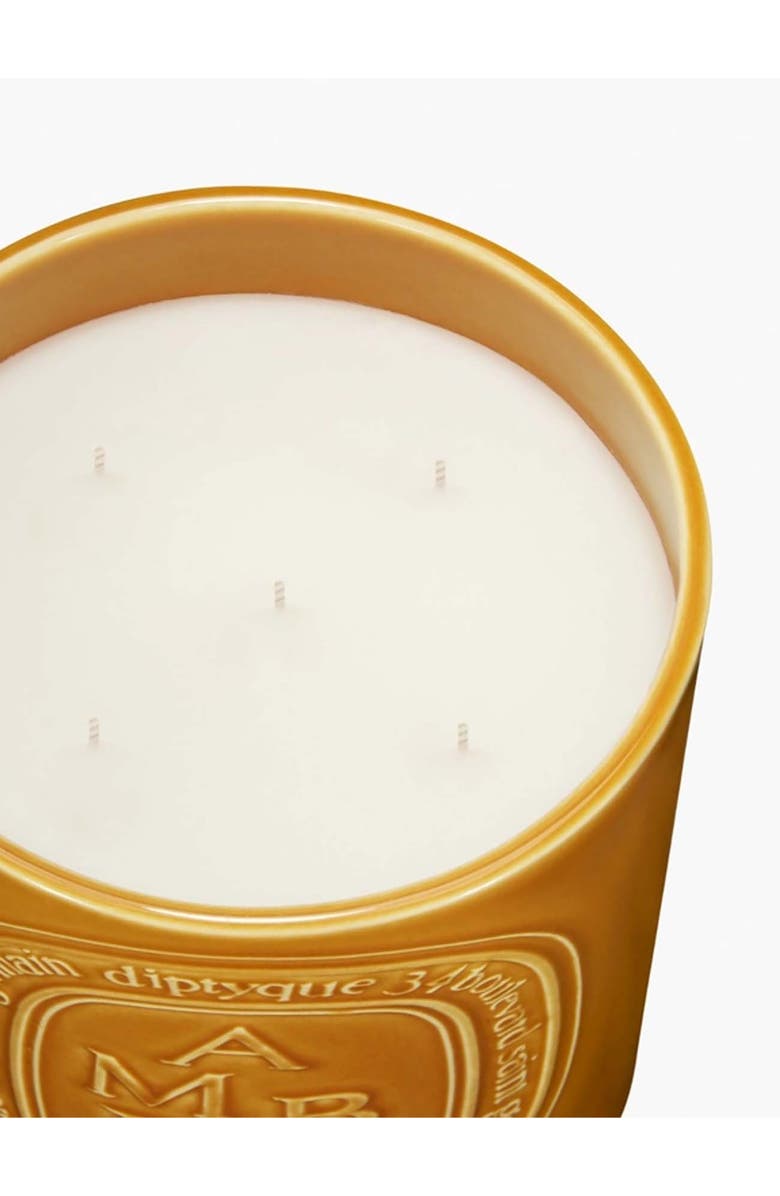 Diptyque Ambre (Amber) Extralarge Scented Candle, Alternate, color,