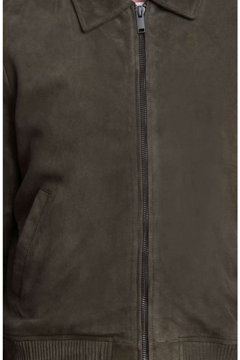 Suede Bomber Jacket, Alternate, color, CHIVE