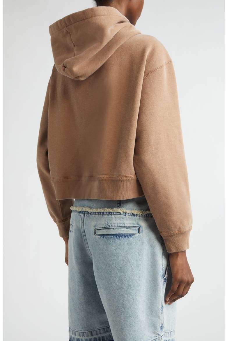Salmy Cotton Blend Hoodie, Alternate, color, CAMEL