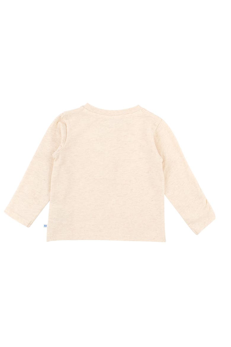 Knit Long Sleeve Henley Tee, Alternate, color, Heathered Oatmeal