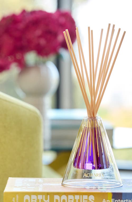 Agraria San Francisco Reed Diffuser In Purple