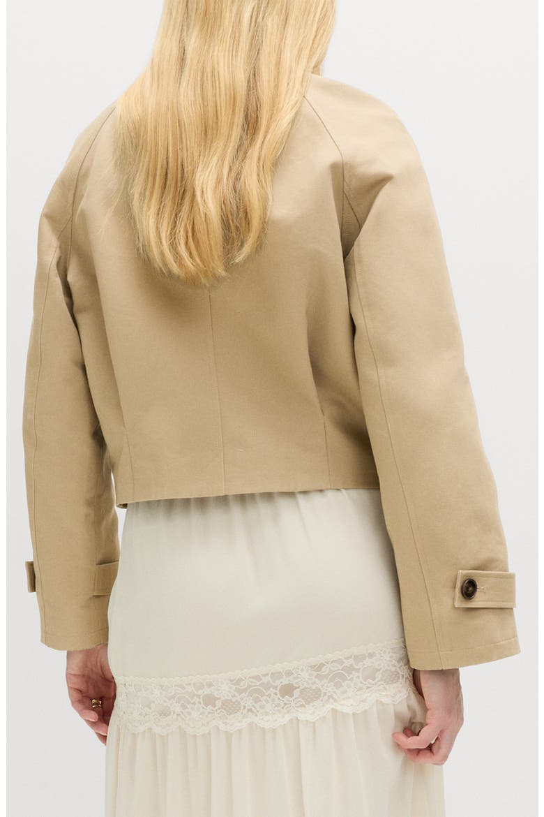 Stand Collar Jacket, Alternate, color, BROWN