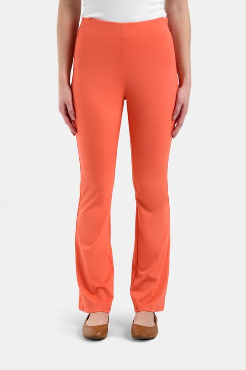 Capsule 121 The Infrared Pant In Coral