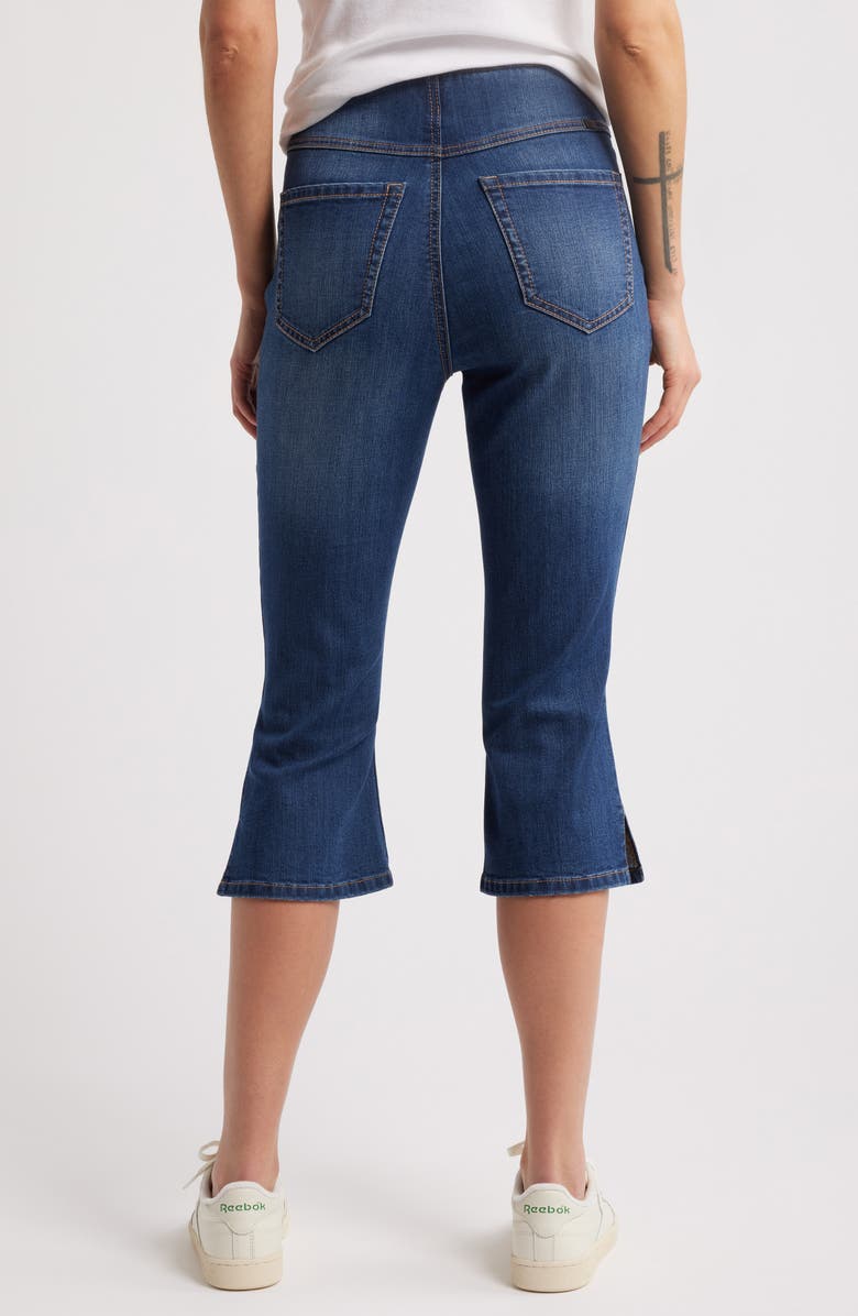 1822 Denim High Waist Capri Jeans, Alternate, color, Gaia