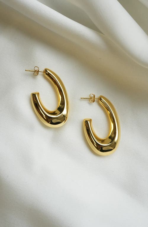 Argento Vivo Sterling Silver Graduated Oval Hook Hoop Earrings