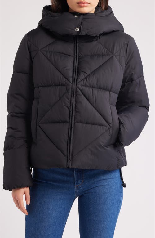 Sam Edelman Cropped Puffer Jacket In Black