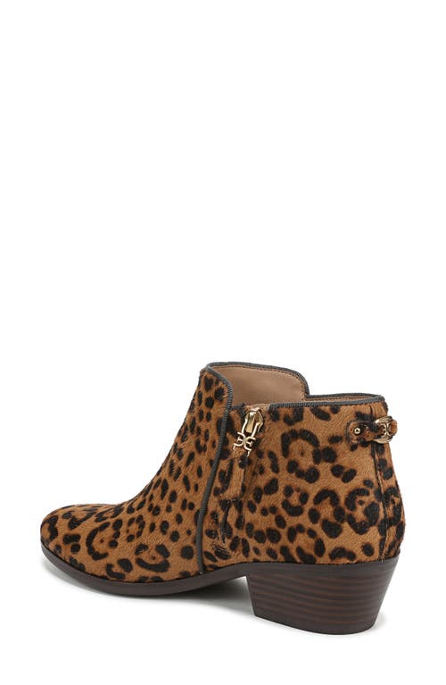 Sam Edelman Petty Bootie In Animal Print