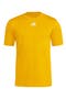 selected Team Collegiate Gold/ White
