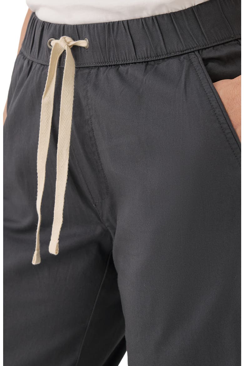 Organic Cotton Daily Twill Pant, Alternate, color, Storm