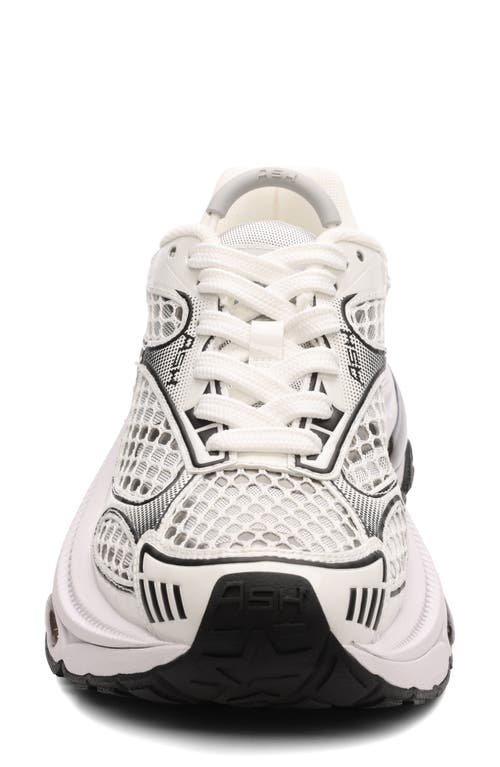 Ash Dragon Sneaker In White/white/dark Silver