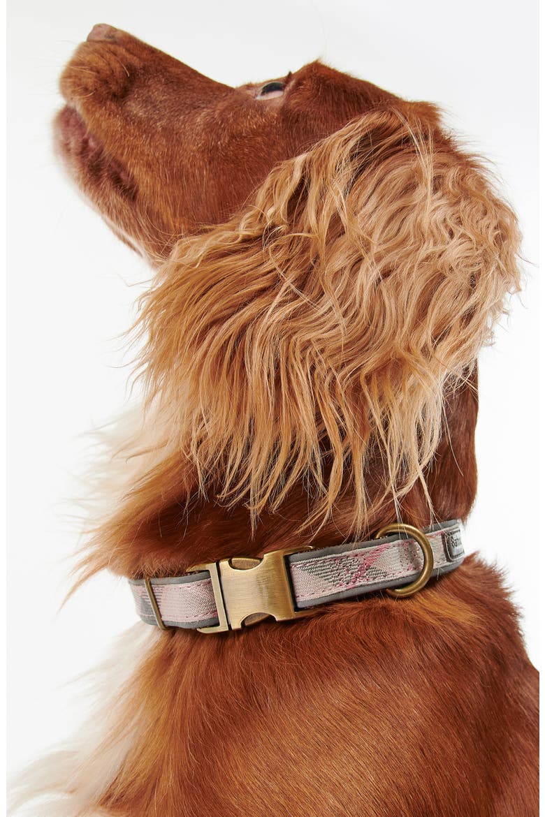 Reflective Tartan Dog Collar, Alternate, color, TAUPE/ PINKDNU
