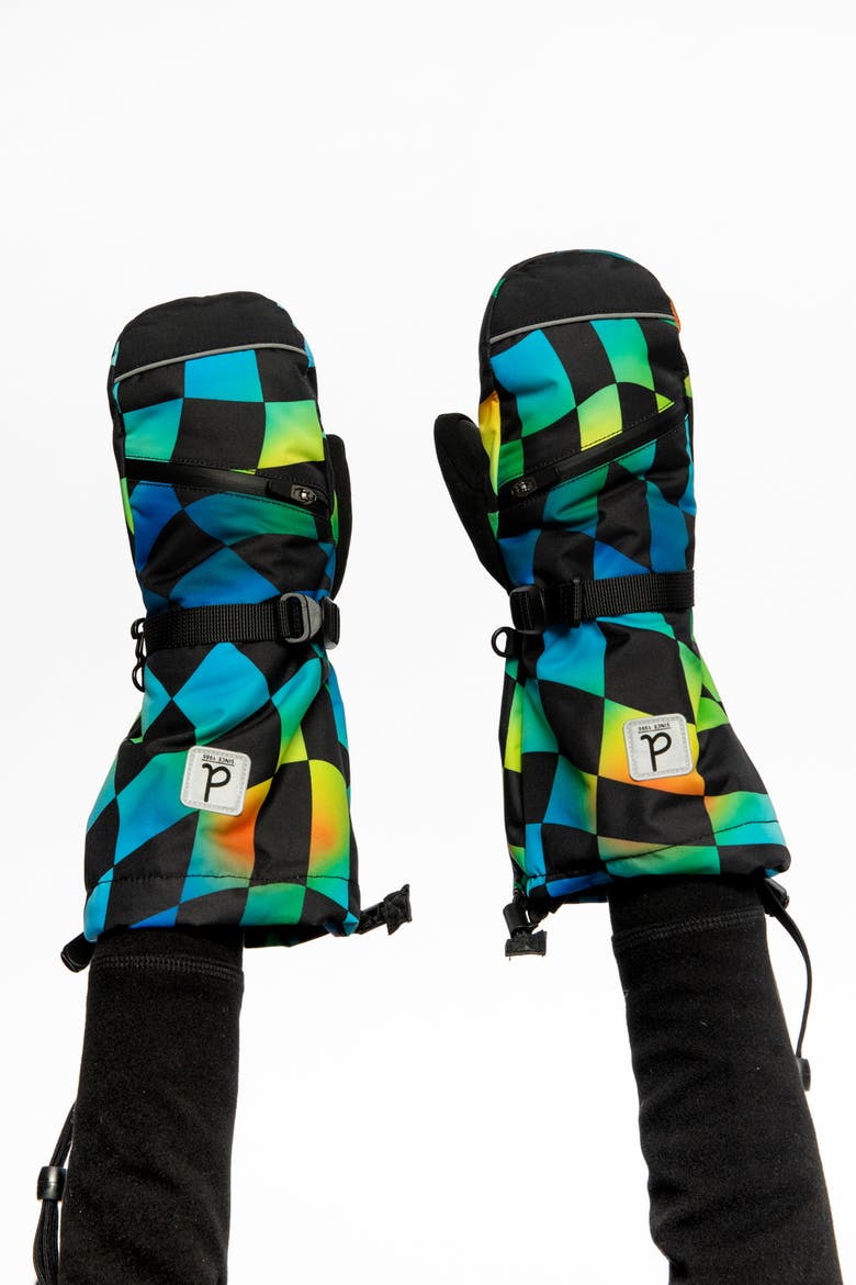 Checkered Teknik Waterproof Cordura Reinforced Winter Mittens, Alternate, color, Blue Checkered Print