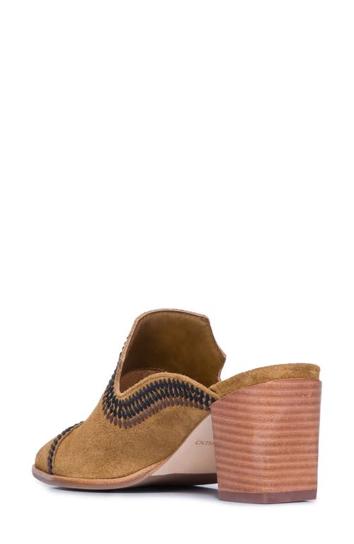 Bernardo Footwear Brooklyn Embroidered Mule In Multi