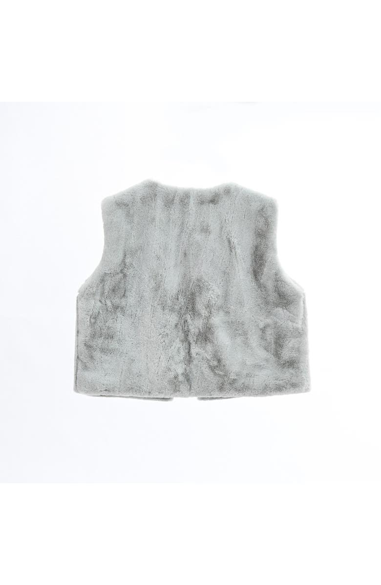 Tulleen Allamanda Plush Fur Vest, Alternate, color, Grey
