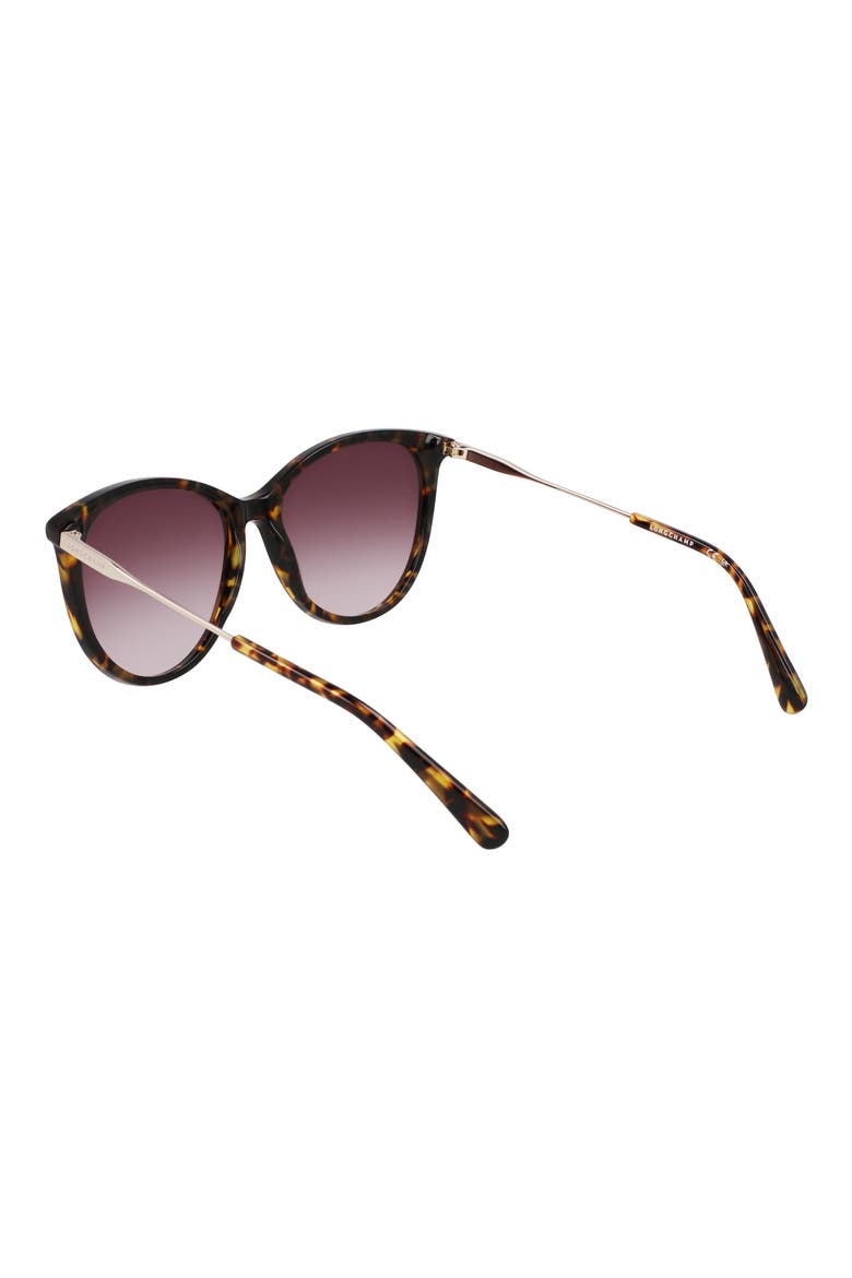 55mm Gradient Tea Cup Sunglasses, Alternate, color, DARK HAVANA