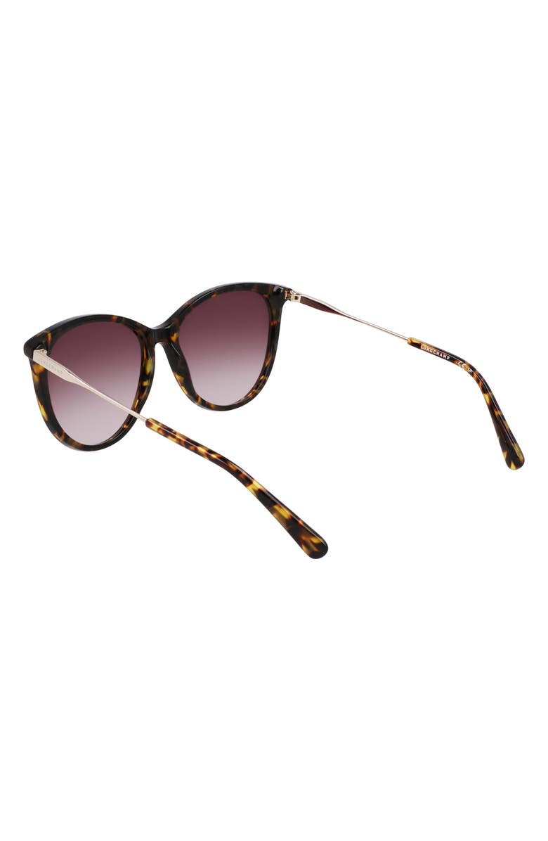 Longchamp 55mm Gradient Tea Cup Sunglasses, Alternate, color, Dark Havana
