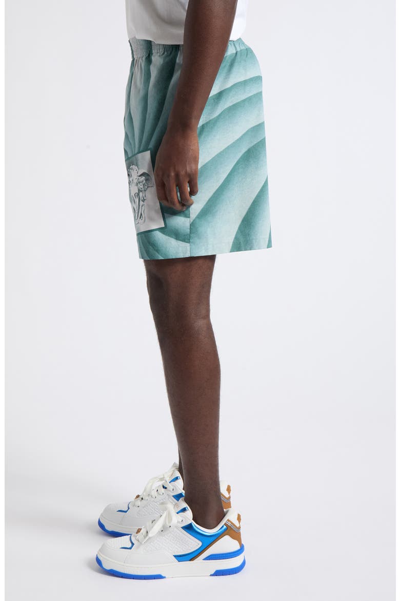 The Vortex Print Cotton Poplin Shorts, Alternate, color, 5GE50-LIGHT TEAL