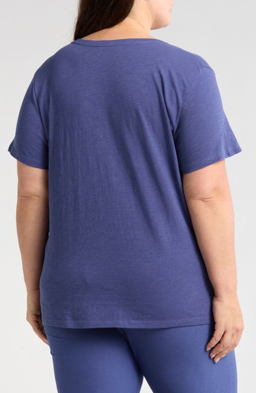 Eileen Fisher Easy V-neck Organic Cotton T-shirt In Bluette