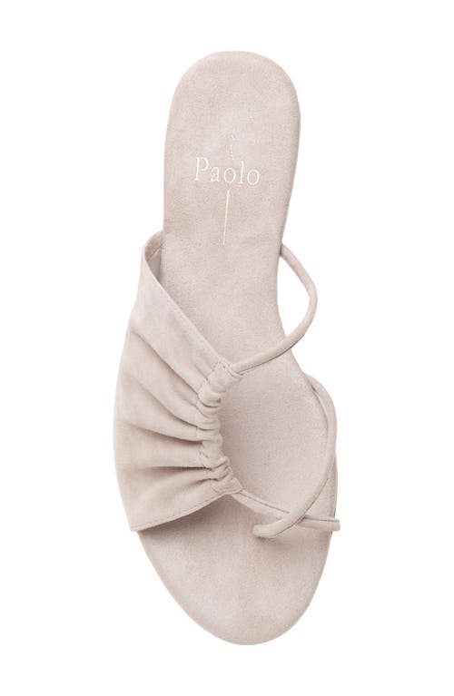 Linea Paolo Lane Toe Loop Sandal In Stone