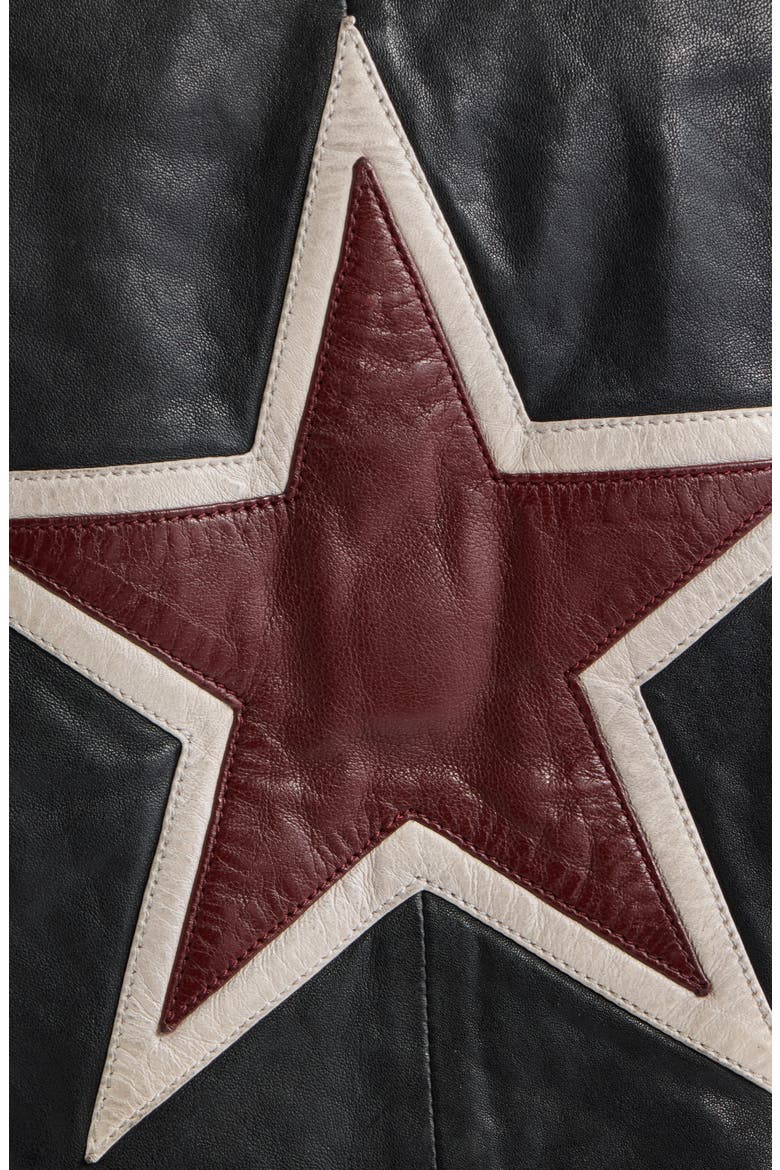Isadora Leather Jacket, Alternate, color, BLACK