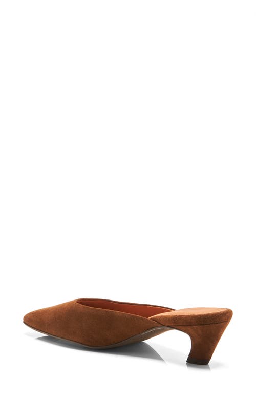 Free People Avenue Mule In Brown